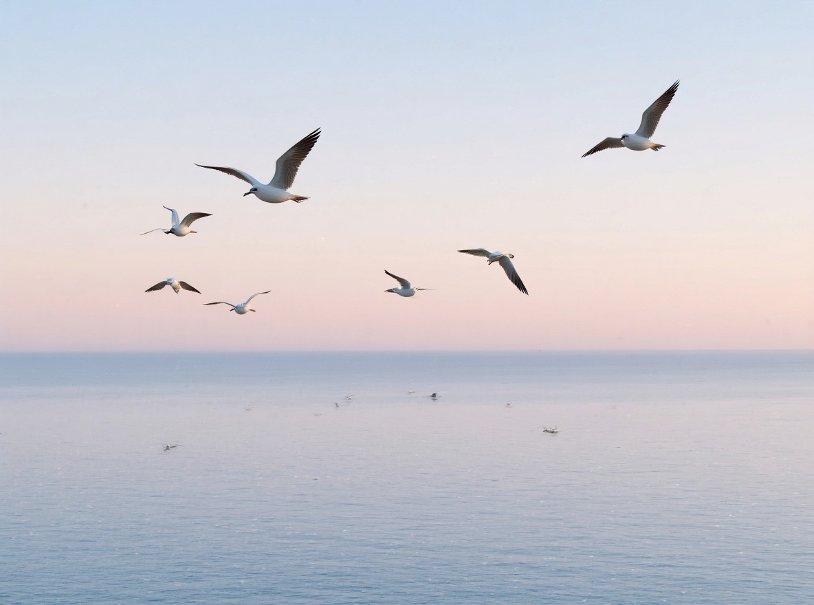 Add seagulls to the original image, keeping the rest unchanged